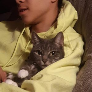 Meet your Posher, Demarcus